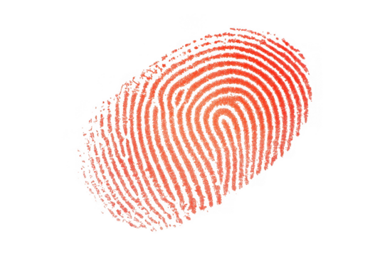 Red fingerprint pattern with black background and textured lines image