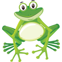 Cartoon Frog Character Illustration on Transparent Background and White Oval Belly Detailed Cute Eyes and Green Skin