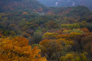 Fototapeta premium This is a Korean autumn mountain landscape.