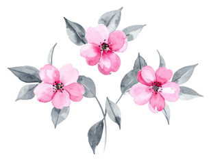 Watercolor floral arrangement with pink blossoms, gray leaves, & a dark background