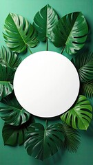 Tropical leaves frame a white circle on light green backdrop