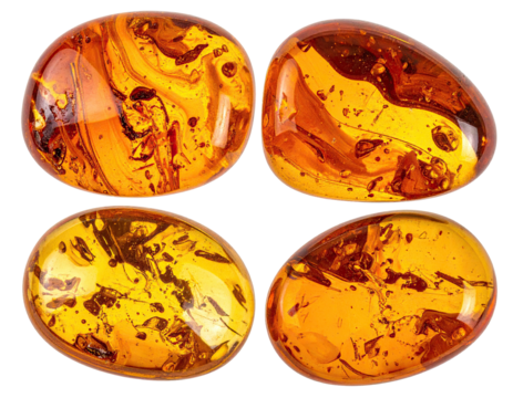 Four polished, translucent amber stones with internal patterns, set against black