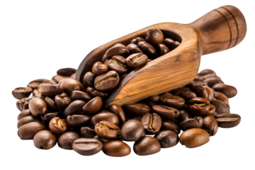 Wooden scoop filled with roasted coffee beans isolated on transparent background