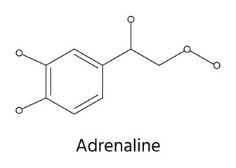 アドレナリンの化学構造式のイラストセット　ハニカム構造 © gelatin