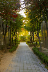 Obraz premium It's an autumn park with a walking path.