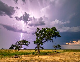 Dramatic lightning strikes over trees in a vast savanna landscape