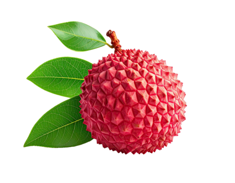 A ripe, red lychee with textured skin and three green leaves on black background