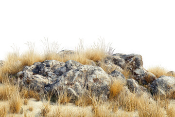 Dry golden grass and weathered rocks on sandy ground isolated on black image