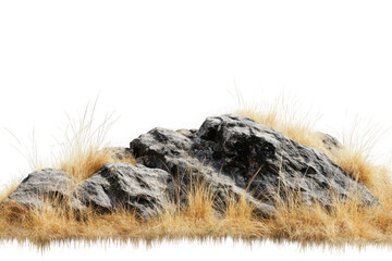 Rocky outcrop with dry golden grass against black background stone boulder image