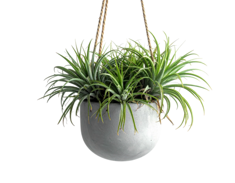 A round gray hanging planter holds spiky, green plants with cord supports