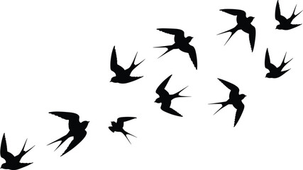 Swallow bird silhouette icon set, flying bird vector illustration, motion and flight design, wildlife graphic, nature symbol art, avian outdoor collection