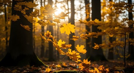 Naklejka premium Golden autumn leaves gently falling in a sun-dappled forest, capturing the beauty of the season
