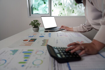 Financial Review. Business professional calculating data on charts and laptop.