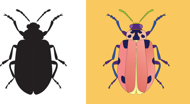 Unique beetle illustration with modern design elements, perfect for science education or unique nature-themed projects and bold branding solutions