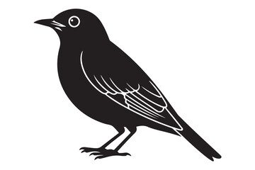 Fototapeta premium A black bird silhouette with white eye and wing details standing on white background silhouette