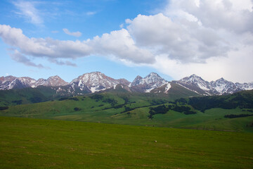Wide panoramic landscape of a continuous, majestic snow-capped mountain range above vast green rolling hills and a foreground meadow under a cloudy blue sky