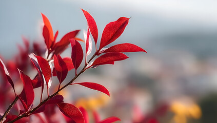 Vibrant red leaves glistening under soft morning light, showcasing the beauty of nature and seasonal change.