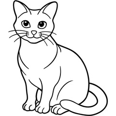 Obraz premium black and white cat