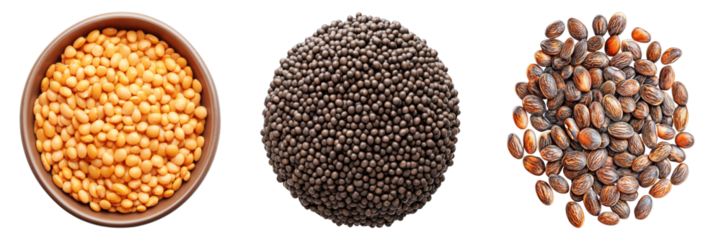 An overhead shot showcases three different types of grains or seeds, each presented in its distinct form and texture. The variety of colors and shapes provides a visual appeal.