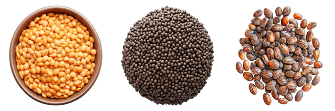 An overhead shot showcases three different types of grains or seeds, each presented in its distinct form and texture. The variety of colors and shapes provides a visual appeal.