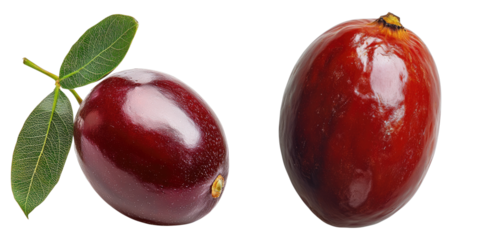 Close-up of fresh, ripe coffee cherries with vibrant red skin and green leaves