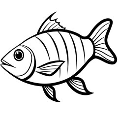 fish vector illustration
