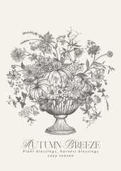 Obraz premium Botanical illustration with dahlias, asters, zinnias, berries, and pumpkins. Engraved design. Black and white.