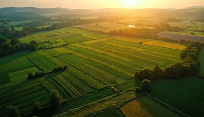 Aerial view of green patchwork farmland at sunrise. Sunlight illuminates rows of crops and trees. Peaceful rural landscape with distant hills and calm water.
