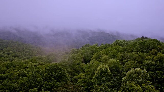 Aerial cinematic pass drifting above a serene, fog-filled Smoky Mountain valley.