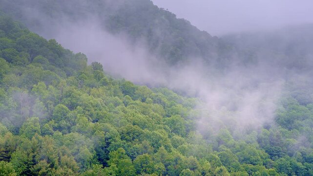 Aerial footage sliding across a tranquil, mist-rich valley at dawn.
