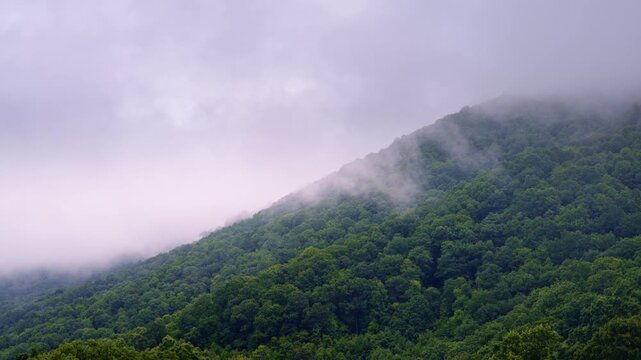 Drone shot sailing above a mist-bathed valley in the Smokies.