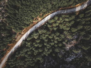 Aerial view taken by drone of a car driving on a forest road in autumn