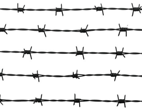 Close-up of multiple strands of dark barbed wire against a stark black backdrop