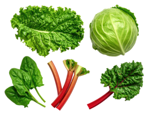Fresh, vibrant assortment of leafy greens and vegetables against a stark black backdrop