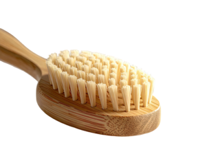 An oval brush with light bristles and a long wooden handle against black background