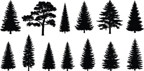 Tree silhouettes vector set, pine, fir, oak, forest elements, black outline, coniferous shapes, nature icons, landscape design, clipart