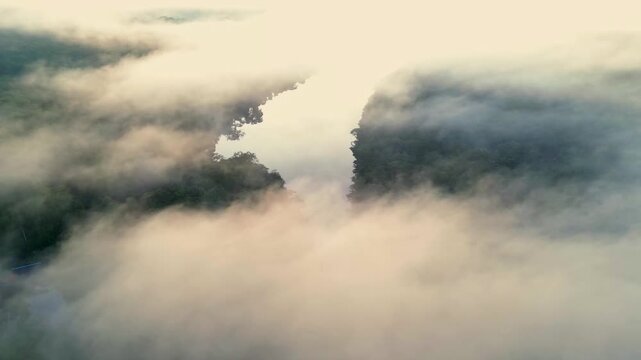Aerial drone images of the Nanay River, an important river surrounded by vast flooded forests of the Peruvian Amazon in Iquitos, Peru, within the Amazon rainforest of blackwater rivers