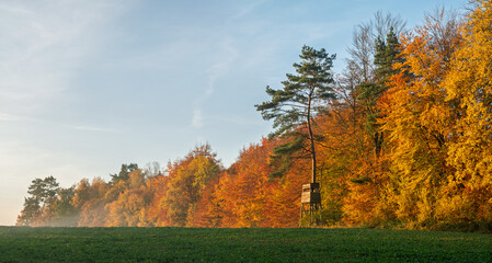 a hunting tower on the edge of an autumn forest on a beautiful, clear morning