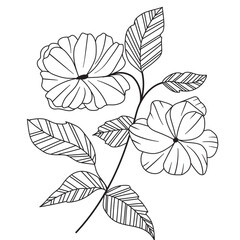 Hand Drawn Flower Outline Illustration