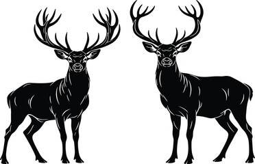 Two deer silhouette with large antlers, standing pose, wildlife illustration, black white art, majestic animal design, forest nature concept
