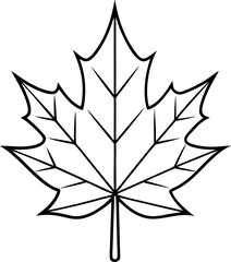 Obraz premium Detailed maple leaf outline on transparent backdrop for seasonal illustration with simple autumn vector exactly 160 characters