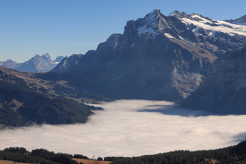 Alpengipfel über dem Hochnebel, Blick über Grindelwald  auf das Wetterhorn (3690)