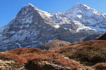Herbstliche Jungfrauregion; Blick von der Kleinen Scheidegg auf Eiger (3970) und Mönch (4110)