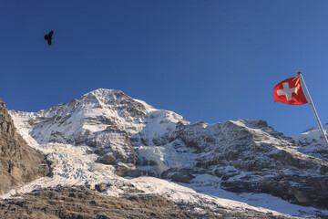 Alpiner Riese, Mönch (4107) mit Eigergletscher
