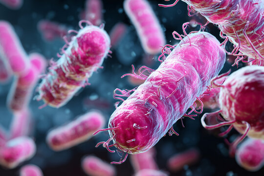 Microscopic view of multiple pink rod-shaped bacteria with hair-like structures floating in a dark blue fluid a scientific illustration of microorganisms