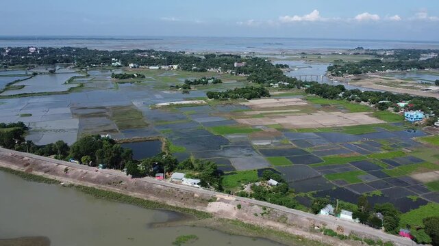 Bangladesh faces flooding and crop damage due to sudden water inflow from India, affecting riverside communities and agricultural lands.Bangladeshi farmers cannot grow crops as floodwaters flood