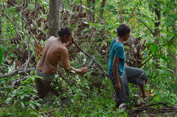 A shirtless farmer cleans dry branches with a machete in the field while his wife, wearing a blue shirt, carefully walks through wild plants and trees on the rugged, sloping farm.