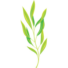 A Delicate Sprig Of Vibrant Green Leaves Emerging From A Slender Stem With A Transparent Background