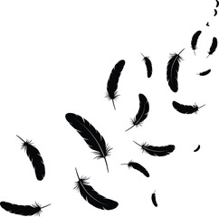 Black feather silhouettes floating and falling on white background vector illustration © Papi