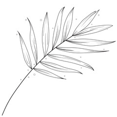 Hand Drawn Flower Outline Illustration